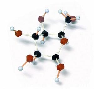 Gluconeogenesis